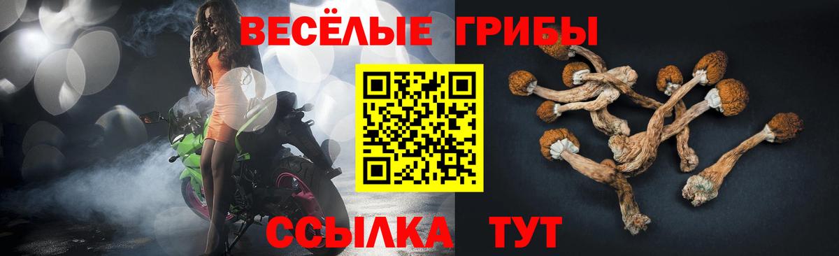 Псилоцибиновые грибы Cubensis Гуково
